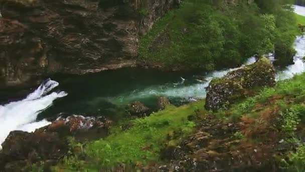 Dağlarda yolda sürücü tren. Tepeler. Bir sürü yeşillik. Dağlar arasında nehir akar. Temiz su — Stok video