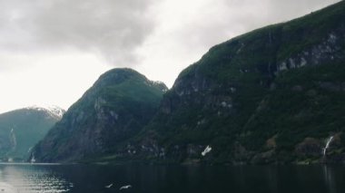 Nehir yeşil woods tarafından kaplı büyük Dağları. Doğa. Manzara. Birçok uçan martılar. Gri gökyüzü