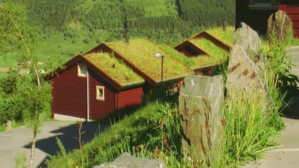 Vista de pequeñas casas de madera con hierba amarilla en el techo. Día de verano. Verdor. A nadie. Naturaleza — Vídeo de stock