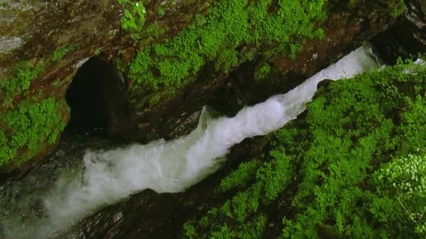 Fluss fließt zwischen Steinen in Bergen, die von viel Grün bedeckt sind. sauberes Wasser. Platsch. Strom. Natur — Stockvideo