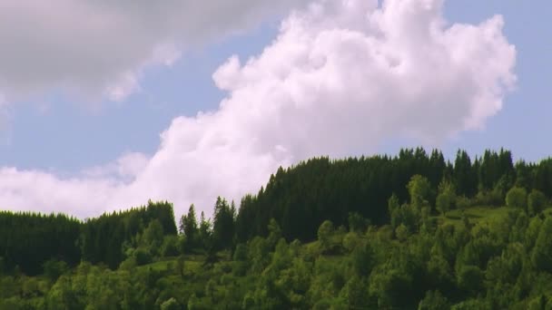 Panoramisch zicht op de groene bossen op heuvel in zomerdag. Grote wolken drijven in blauwe hemel. Natuur. Bomen — Stockvideo