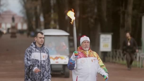 SAINT PETERSBURG, RÚSSIA - 27 de outubro de 2013: Corrida de revezamento Chama olímpica em Peterhof, São Petersburgo. Caminhada de portador de tochas aposentado com chama no parque — Vídeo de Stock