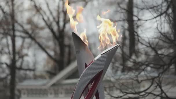 Αγία Πετρούπολη, Ρωσία-27 Οκτωβρίου, 2013: ιπποδρομία της Ολυμπιακής φλόγας στο Peterhof, Αγία Πετρούπολη. Αναστασία Βολτσκοκόβα να πάρει φλόγα — Αρχείο Βίντεο