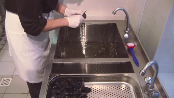 Cuire dans des gants, nettoyer uniformément les moules lavées dans l'évier avec de l'eau sale. La passoire. Cuisine . — Video