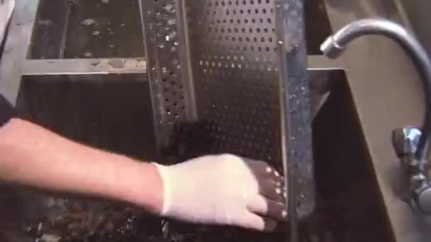 Arbetstagare i handskar sätta tvättade musslor i diskho med rent vatten från durkslag. Restaurangkök — Stockvideo