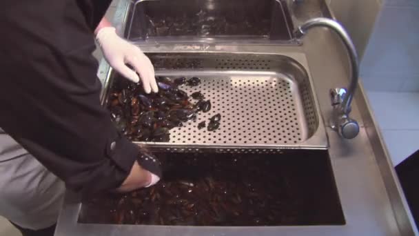 O homem na luva pôs mexilhões limpos lavados da pia com a água limpa no escorredor. Restaurante cozinha — Vídeo de Stock