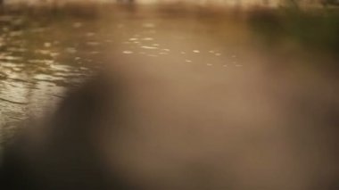 At Dağları akışında yürüyelim. Kayalar. Doğa. Damla