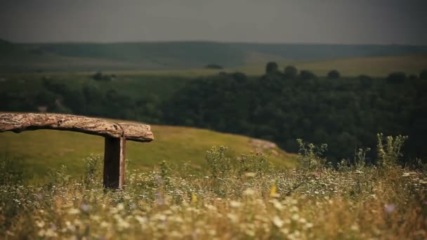 Panorama de campo de verano en montañas cubiertas de vegetación. Paisaje. Valla — Vídeos de Stock