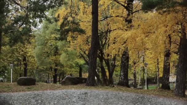 Arbres dans le parc d'automne. Feuille jaune, verte, dorée. Des paysages. Vague calme du vent . — Video