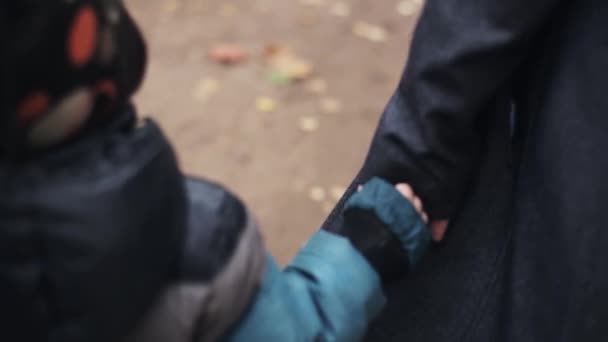 Enfant marche avec sa mère dans le parc d'automne. Feuille jaune, verte, dorée sous les pieds . — Video