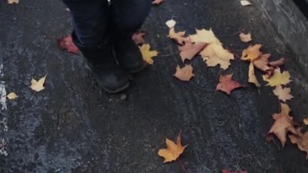 Kind wandeling in herfst park. Geel, groen, goud esdoornblad onder voeten. Natuur — Stockvideo