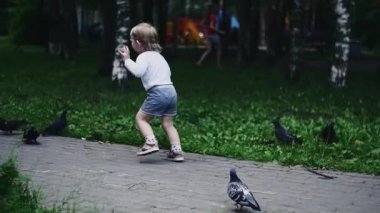 Küçük çocuk güvercinlerle koşuyor. Elleri bebek ile anne oğlu ayçiçeği tohumu vermek.