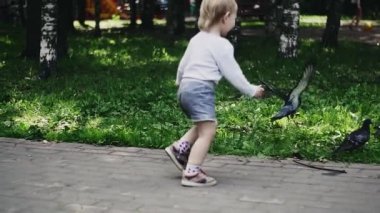 Sarışın küçük çocuk güvercin için yaz parkında oyun alanında koşuyor. Çocukluk. Güneş