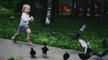 Sarışın küçük çocuk güvercin için yaz parkında oyun alanında koşuyor. Mutluluk.