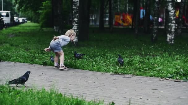 Menino de calções corre para pombas no parque de verão. Felicidade. Infância . — Vídeo de Stock