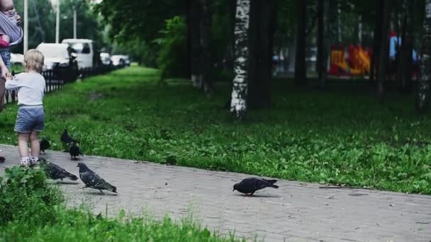 Young mother with baby on hands give son sunflower seeds to feed doves. Summer — Stok video