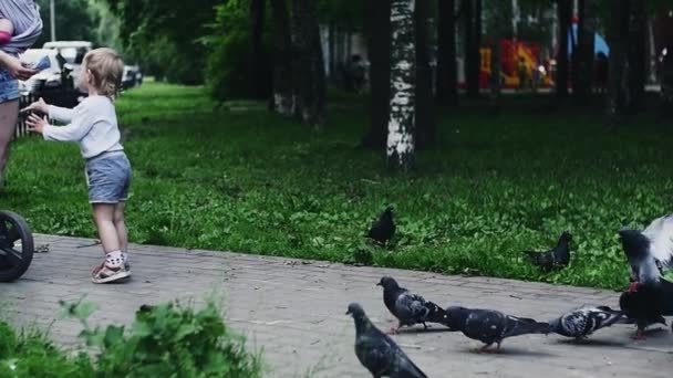 Young mother with baby on hands give son sunflower seeds to feed doves. Park — Stockvideo