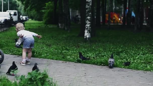 Un niño en pantalones cortos lanza semillas de girasol para alimentar a las palomas. Parque de verano. Niño. — Vídeos de Stock