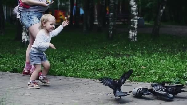 Madre con el bebé en las manos y el hijo alimentando palomas en el parque. Chico corre, los pájaros vuelan lejos — Vídeos de Stock