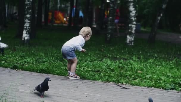 Un niño en pantalones cortos lanza semillas de girasol a las palomas. Parque de verano. Infancia — Vídeos de Stock