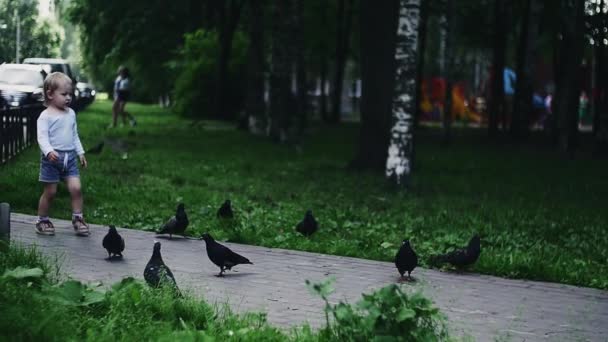 Niño rubio en el patio de recreo en el parque de verano con madre. Infancia. Palomas — Vídeos de Stock