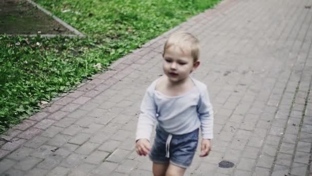 Kleiner Junge in kurzen Hosen läuft auf Spielplatz im Sommerpark. Kindheit. Tauben — Stockvideo