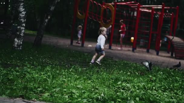 Niño rubio corriendo en el patio de recreo en el parque de verano asustar palomas. Niños — Vídeos de Stock