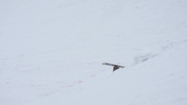 Snowboarder falling from snowy slope on ski resort. Fail. Mountains. Extreme — Stock Video