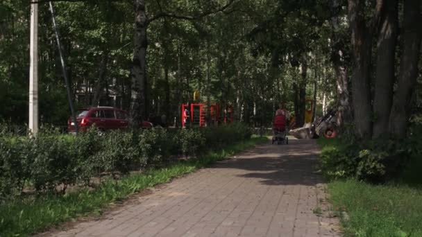 Mother ride baby carriage in summer park. Motherhood. Little son sit on carriage — Stock Video