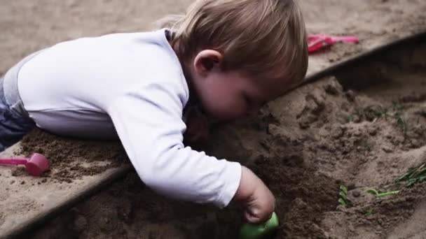 Entzückender kleiner Junge auf dem Spielplatz am Sandkasten. sonniger Tag. Spielzeug. Kind. Kindheit — Stockvideo