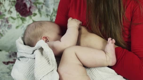 Jovem mãe de camisa vermelha amamentando pequeno bebê bonito no sofá. Maternidade . — Vídeo de Stock