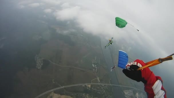 Paraquedistas voando acima do campo verde, rio. Desporto ativo extremo. Adrenalina . — Vídeo de Stock