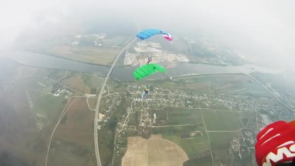 Skoczków z kolorowe spadochrony latające nad zielone pole. Active sport ekstremalny — Wideo stockowe
