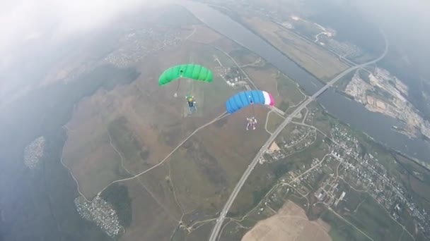 Skydivers com paraquedas coloridos voando acima do solo. Desporto ativo extremo . — Vídeo de Stock