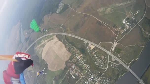 Les parachutistes volent dans le ciel au-dessus des champs verts. Des parachutes colorés. Sport extrême . — Video