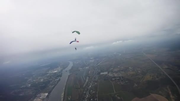 Los paracaidistas vuelan en el cielo sobre el campo verde. Paracaídas coloridos. Profesionales . — Vídeo de stock