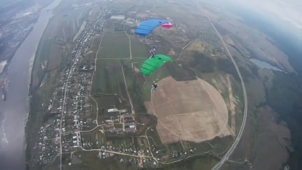 Fallskärmshoppare flyger i himlen över gröna fält. Färgglada fallskärmar. Adrenalin. Idrott. — Stockvideo