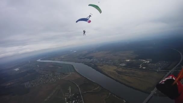 Fallskärmshoppare flyger i himlen över gröna fält. Färgglada fallskärmar. Extreme. Grupp. — Stockvideo