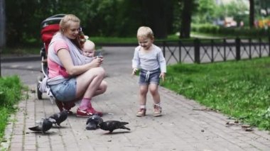 Anne bebek güvercinler tarafından ayçiçeği tohumu besleme sapan oğlu ile. Annelik. Park