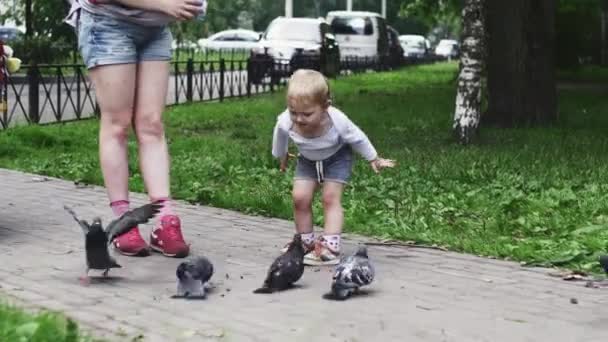 Matka z dzieckiem na syna procy karmienia gołębi przez nasiona słonecznika w lato park — Wideo stockowe