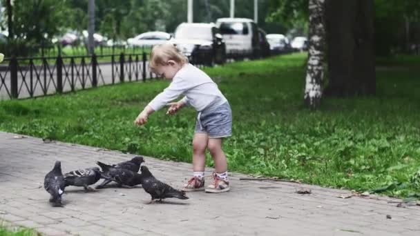 Niño alimentando palomas con semillas de girasol en el parque de verano. ¡Madre! Caminando — Vídeo de stock