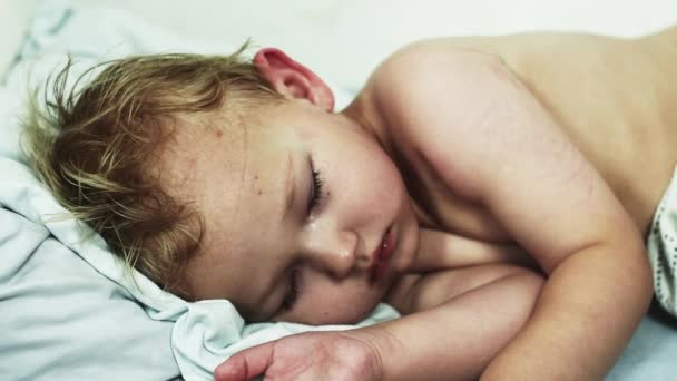 Little blonde boy sleeping on sofa on back. Child. Dreams. Resting. — Stock Video