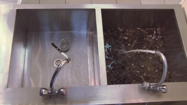 Raw mussels under jet of water in sink. Knife and sponge in another sink. Kitchen. Washing. — Stock Video