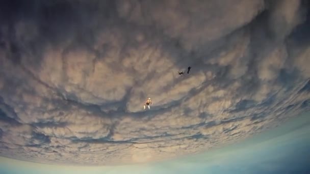 Skydiver opens parachute in clouds, flight. Extreme sport. Evening. Dangerous. — Stock Video