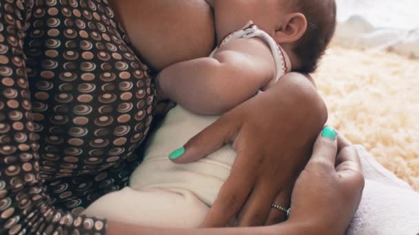 Mãe amamentando bebê pequeno. Maternidade. Cuidados médicos. Família. Nutrição — Vídeo de Stock
