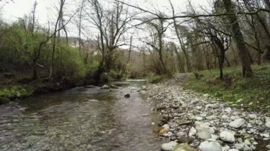 Quadrocopter ateş orman akışında. Taşlar. Doğa. Kimse. Ağaçlar yaprak olmadan