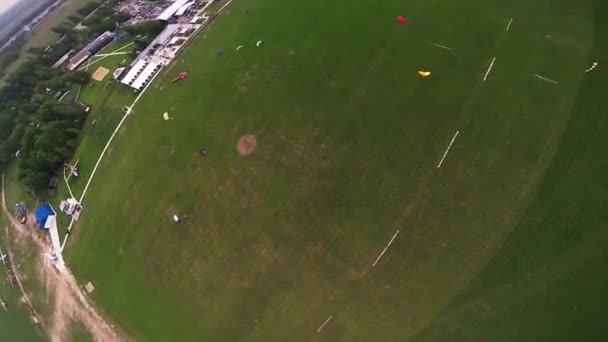 Professionella fallskärmshoppare landar på gröna fält. Sommaren. Landskap. Extrem sport — Stockvideo