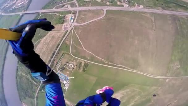 Professionella fallskärmshoppare flyga över gröna flatland, floden. Blå kostym. Landskap. — Stockvideo