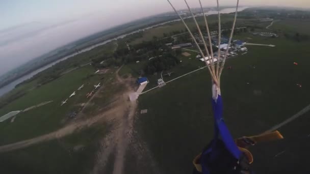 专业跳伞者降落在绿草、田野上。夏天。景观。自然 — 图库视频影像