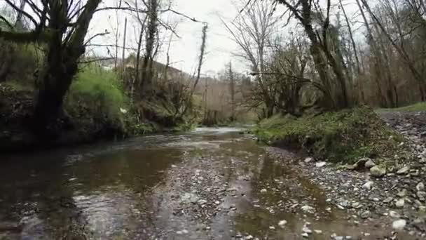 Quadrocopter menembak aliran di hutan. Batu. Alam. Tak seorangpun. Pohon tanpa daun — Stok Video